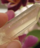 Cute Grounding Face Lemurian Seed Quartz Crystal