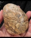 Large Picture Jasper Freeform