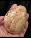 Picture Jasper Freeform