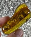 Glowing Golden Amber Freeform 